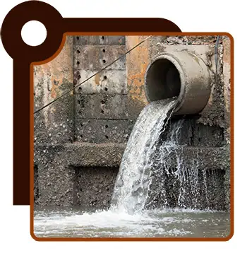 Sewer-Drain Specialist